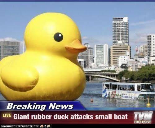 teh epik duck is coming